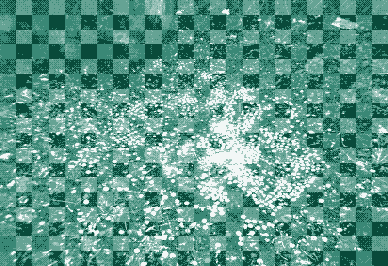 It seems that the area is also used by homeless people